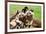 African Wild Dogs-Lantern Press-Framed Premium Giclee Print