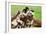 African Wild Dogs-Lantern Press-Framed Art Print