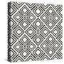 African Wild Pattern IV BW-Wild Apple Portfolio-Stretched Canvas