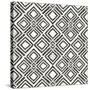 African Wild Pattern IV BW-Wild Apple Portfolio-Stretched Canvas