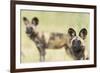 African Wilddog (Lycaon Pictus) Portrait, with Another Dog in the Background-Wim van den Heever-Framed Photographic Print