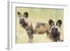 African Wilddog (Lycaon Pictus) Portrait, with Another Dog in the Background-Wim van den Heever-Framed Photographic Print