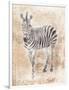 African Zebra-Jace Grey-Framed Art Print