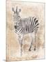 African Zebra-Jace Grey-Mounted Art Print