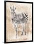 African Zebra-Jace Grey-Framed Art Print