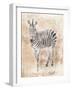 African Zebra-Jace Grey-Framed Art Print