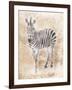 African Zebra-Jace Grey-Framed Art Print