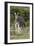 African Zebras 092-Bob Langrish-Framed Photographic Print