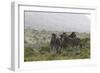 African Zebras 112-Bob Langrish-Framed Photographic Print