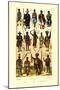 Afrique: Members of Various Tribes-null-Mounted Art Print