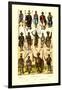 Afrique: Members of Various Tribes-null-Framed Art Print