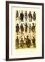 Afrique: Members of Various Tribes-null-Framed Art Print