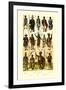 Afrique: Members of Various Tribes-null-Framed Art Print