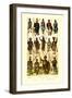 Afrique: Members of Various Tribes-null-Framed Art Print