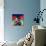 Afro Punk 1-Abstract Graffiti-Mounted Giclee Print displayed on a wall