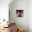 Afro Punk 1-Abstract Graffiti-Mounted Giclee Print displayed on a wall