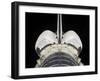 Aft Portion of the Space Shuttle Endeavour, November 27, 2008-Stocktrek Images-Framed Photographic Print