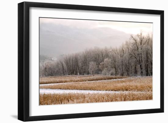 After a Cold Snap-Orah Moore-Framed Art Print