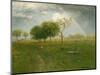 After a Summer Shower, 1894, by George Inness, 1825-1894, American landscape painting,-George Inness-Mounted Art Print