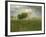 After a Summer Shower, 1894-George Inness Snr.-Framed Giclee Print