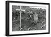 After Allied Troops Had Landed on Kiska Island-null-Framed Photographic Print