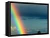 After Bad Weather and Rain Enjoys a Rainbow.-ginasanders-Framed Stretched Canvas