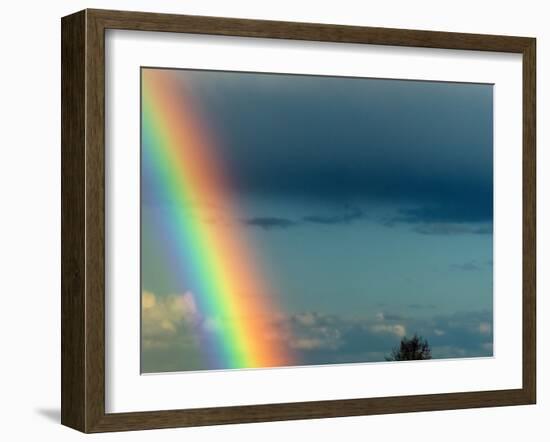 After Bad Weather and Rain Enjoys a Rainbow.-ginasanders-Framed Photographic Print