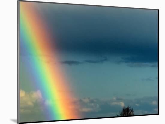 After Bad Weather and Rain Enjoys a Rainbow.-ginasanders-Mounted Photographic Print