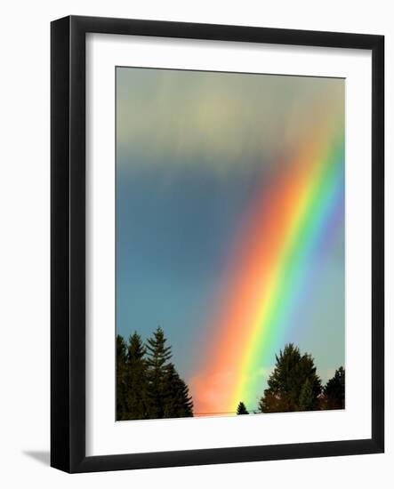 After Bad Weather and Rain Enjoys a Rainbow.-ginasanders-Framed Photographic Print