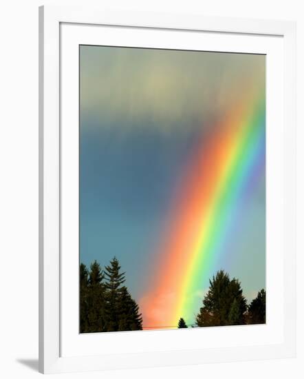 After Bad Weather and Rain Enjoys a Rainbow.-ginasanders-Framed Photographic Print