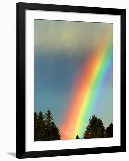 After Bad Weather and Rain Enjoys a Rainbow.-ginasanders-Framed Photographic Print