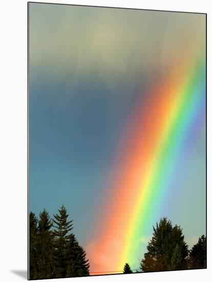 After Bad Weather and Rain Enjoys a Rainbow.-ginasanders-Mounted Photographic Print