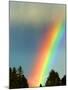 After Bad Weather and Rain Enjoys a Rainbow.-ginasanders-Mounted Photographic Print