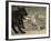 After Being Woken by a Playful Puppy, a Cat Gets its Revenge-null-Framed Photographic Print