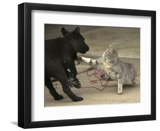 Photographic Print, , large