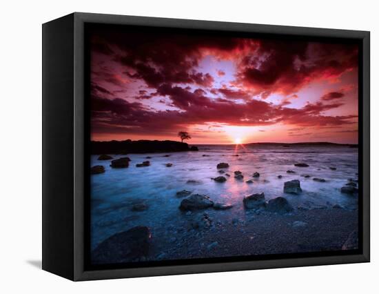 After Hours-Philippe Sainte-Laudy-Framed Stretched Canvas