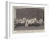 After Omdurman, Wounded Officers at the Military Hospital, Abadia-null-Framed Giclee Print