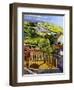 After Rain, 2008-Liz Wright-Framed Giclee Print