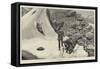 After Reindeer in Norway-Richard Caton Woodville II-Framed Stretched Canvas