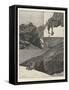 After Rocky Mountain Sheep-Richard Caton Woodville II-Framed Stretched Canvas