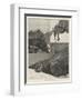 After Rocky Mountain Sheep-Richard Caton Woodville II-Framed Premium Giclee Print