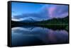 After Sunset at Trillium Lake Reflection, Summer Mount Hood Oregon-Vincent James-Framed Stretched Canvas