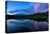 After Sunset at Trillium Lake Reflection, Summer Mount Hood Oregon-Vincent James-Stretched Canvas