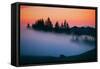 After Sunset Silhouette and Fog, Mount Tamalpais California-Vincent James-Framed Stretched Canvas