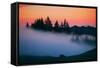 After Sunset Silhouette and Fog, Mount Tamalpais California-Vincent James-Framed Stretched Canvas