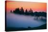 After Sunset Silhouette and Fog, Mount Tamalpais California-Vincent James-Stretched Canvas