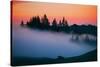 After Sunset Silhouette and Fog, Mount Tamalpais California-Vincent James-Stretched Canvas