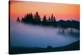 After Sunset Silhouette and Fog, Mount Tamalpais California-Vincent James-Stretched Canvas