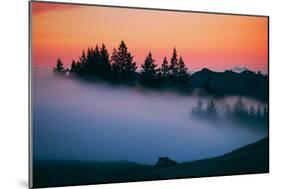 After Sunset Silhouette and Fog, Mount Tamalpais California-Vincent James-Mounted Premium Photographic Print