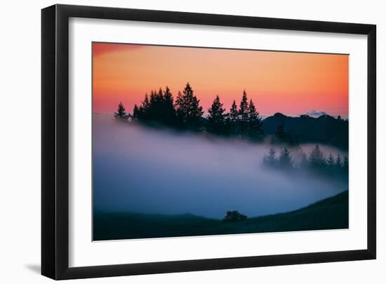 After Sunset Silhouette and Fog, Mount Tamalpais California-Vincent James-Framed Photographic Print